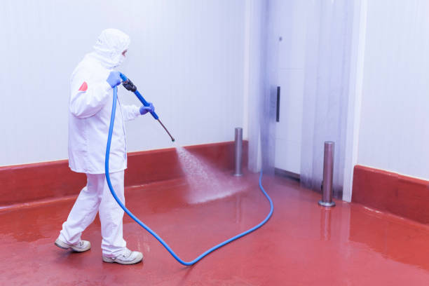 Best Solar Panel Cleaning  in Jonestown, PA